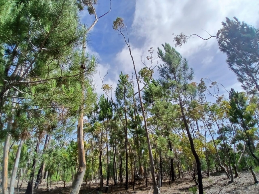 0 Bedroom Property for Sale in Napier Western Cape